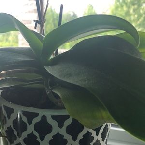 Meet your Posher, Ha